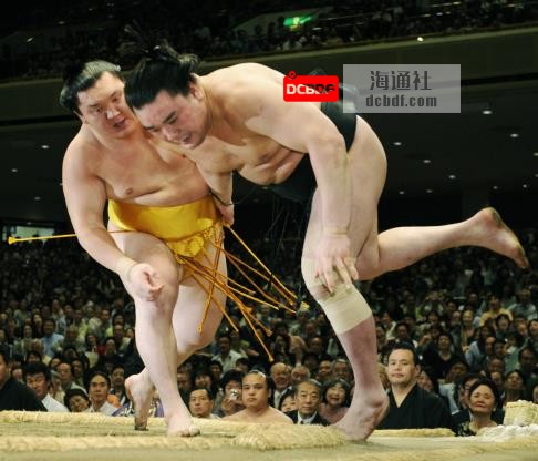 Long a student of the sport, Hakuho wore a gold mawashi belt inspired by Wajima after matching the former yokozuna with a 14th title at the 2010 Summer Basho. | KYODO 