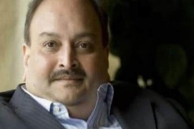 Choksi was granted bail by Eastern Caribbean Supreme Court in July 2021 to travel to Antigua and Barbuda to receive treatment for his neurological ailments. (Image: PTI/File) 