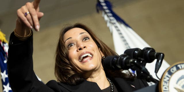 Vice President Kamala Harris speaks at the Plumbers and Pipefitters Local 189 unio<em></em>n hall on Nov. 19, 2021, in Columbus, Ohio, to promote the Bipartisan Infrastructure Law. (Photo by BRENDAN SMIALOWSKI/AFP via Getty Images)