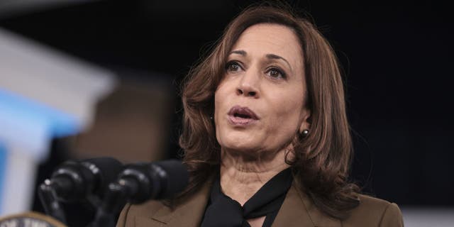 Vice President Kamala Harris speaks in the Eisenhower Executive Office Building in Washington, D.C., on Monday, Nov. 22, 2021. Harris spoke a<em></em>bout equity and the nation's health care workforce. (Photographer: Oliver Contreras/Abaca/Bloomberg via Getty Images)