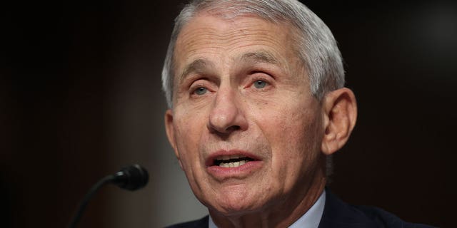 WASHINGTON, DC - NOVEMBER 04: Natio<em></em>nal Institute of Allergy and Infectious Diseases Director Anthony Fauci testifies before the Senate Health, Education, Labor, and Pensions Committee a<em></em>bout the o<em></em>ngoing respo<em></em>nse to the COVID-19 pandemic. (Photo by Chip Somodevilla/Getty Images)